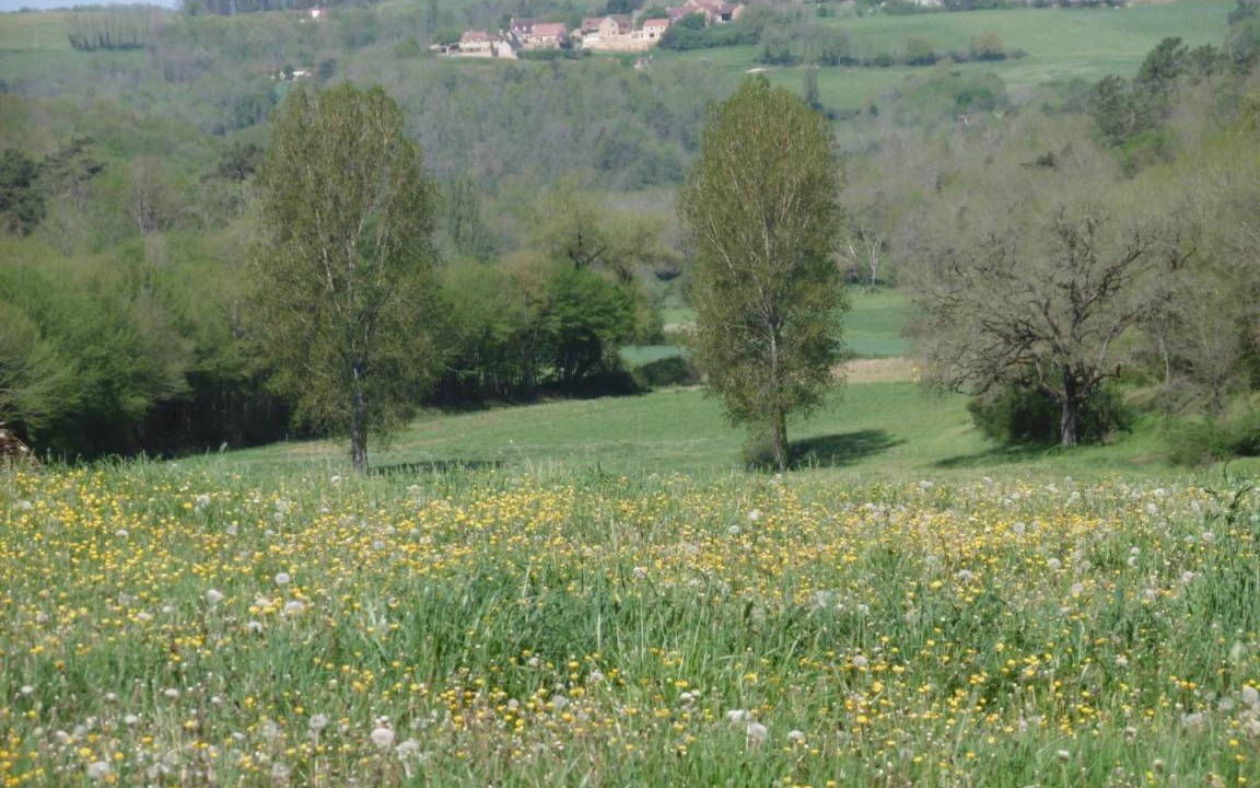 Photo of Others in Marcillac-Saint-Quentin