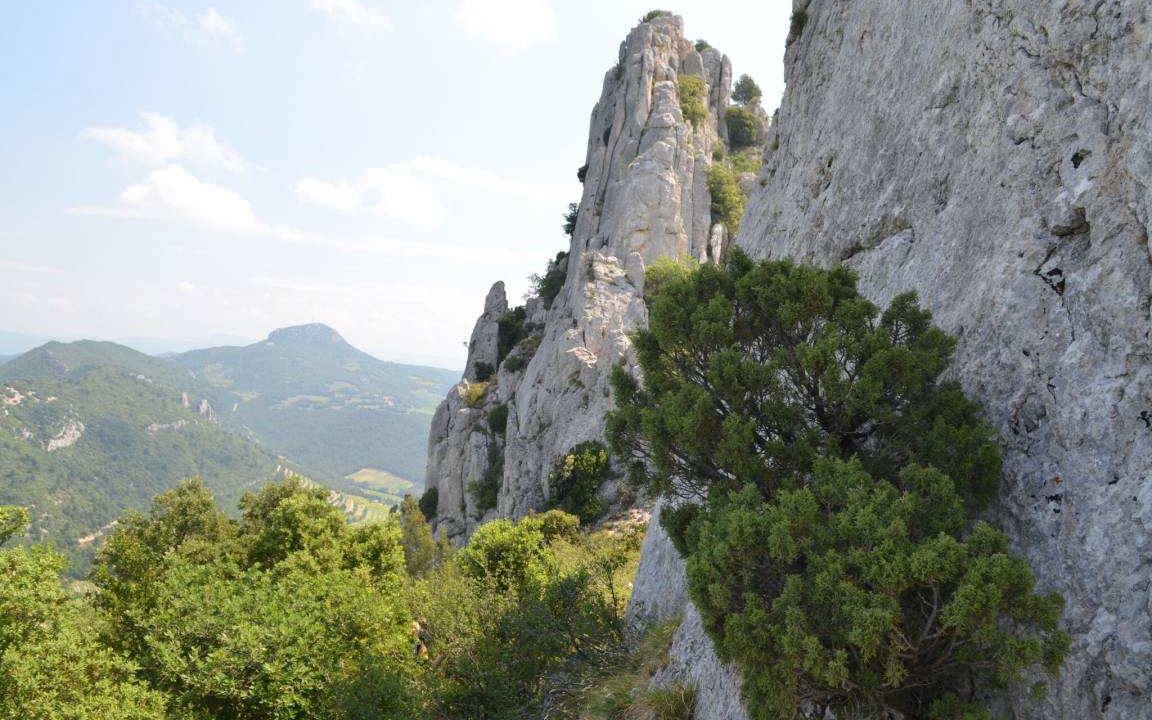 Photo of Others in Gigondas