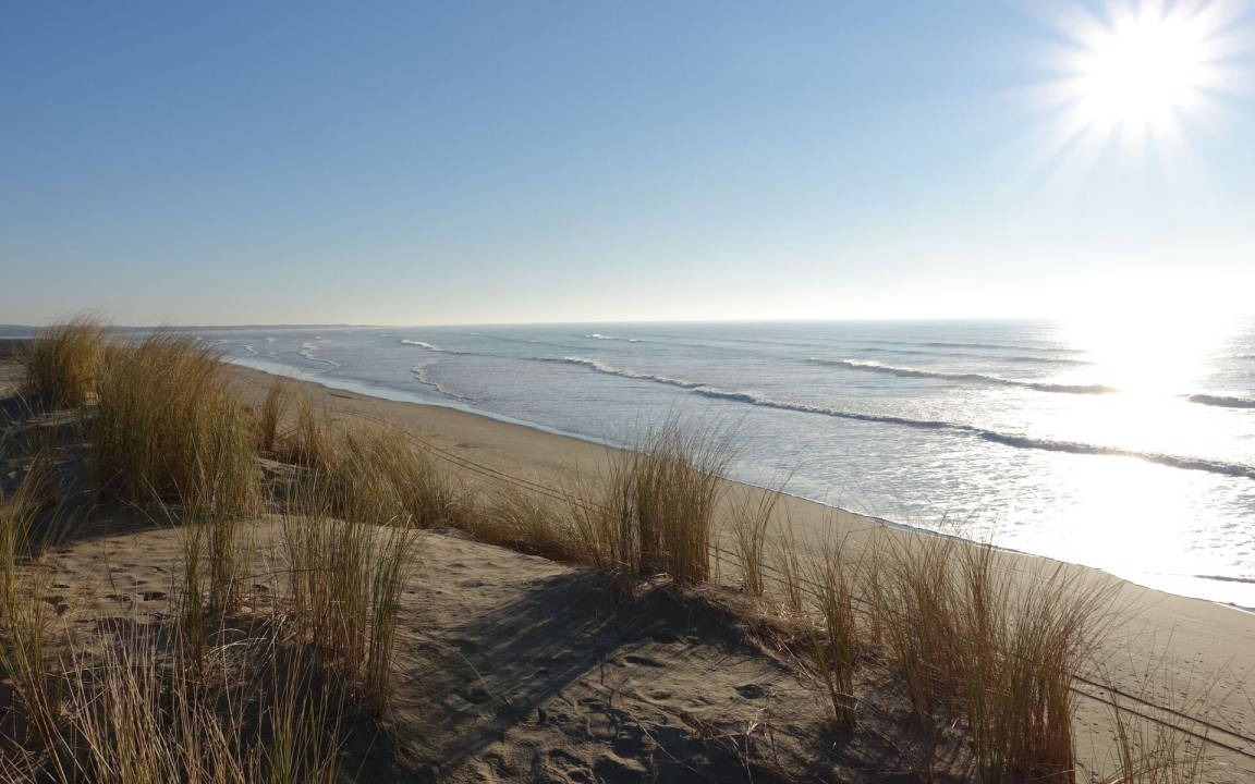 Photo of Others in Saint-Georges-d'Oleron