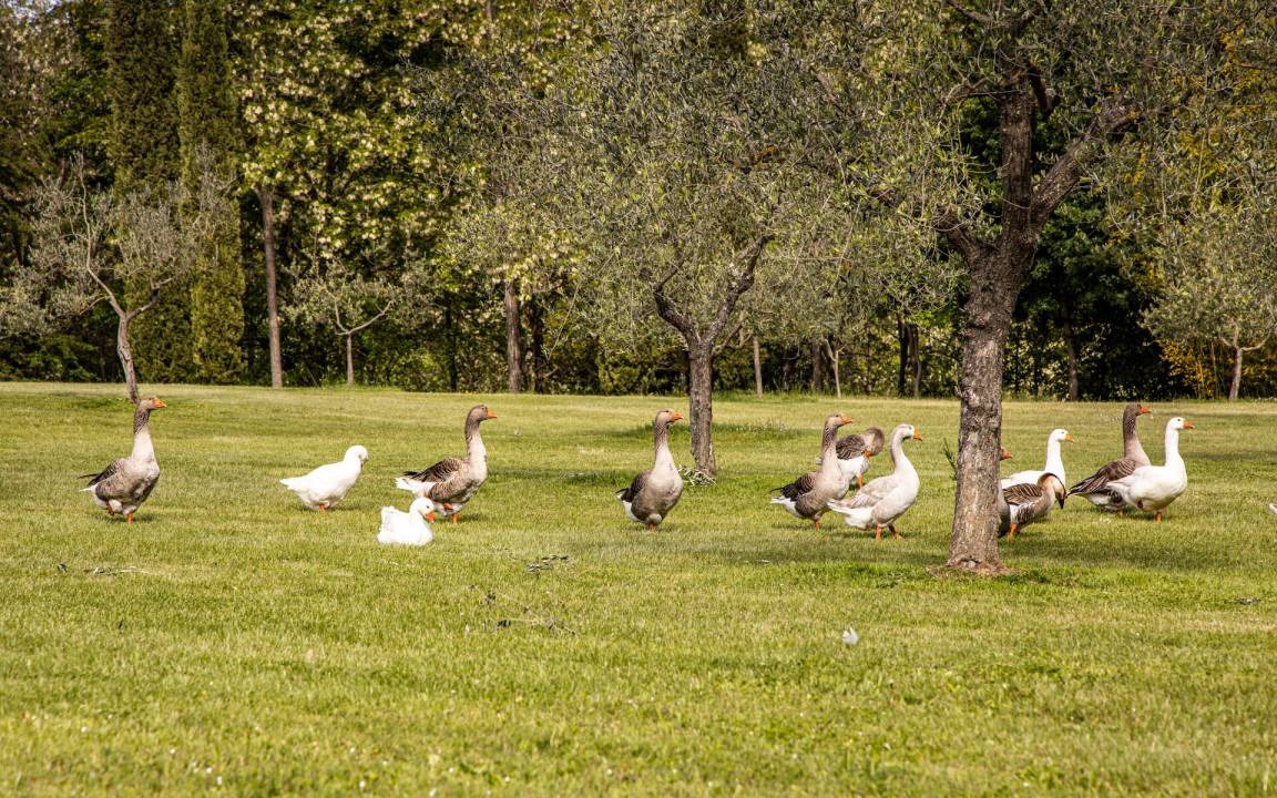 Photo of Others in Figline e Incisa Valdarno