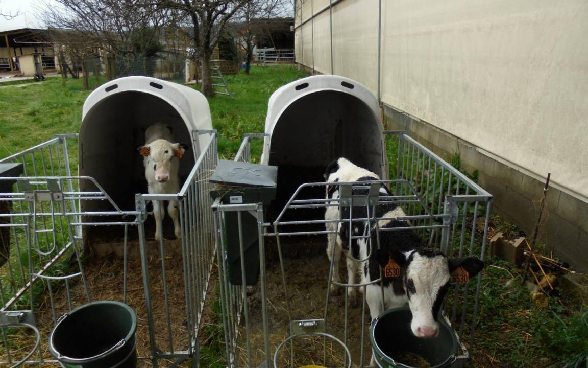 Photo of Others in Montignac