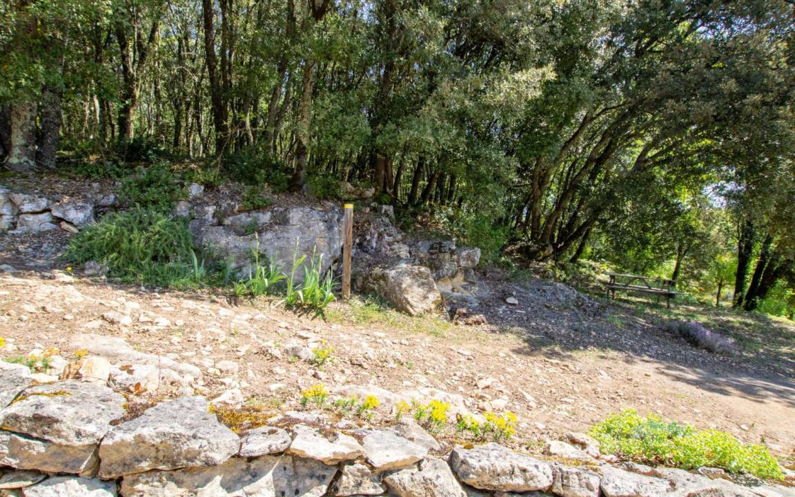 Photo of Others in La Roque-Gageac