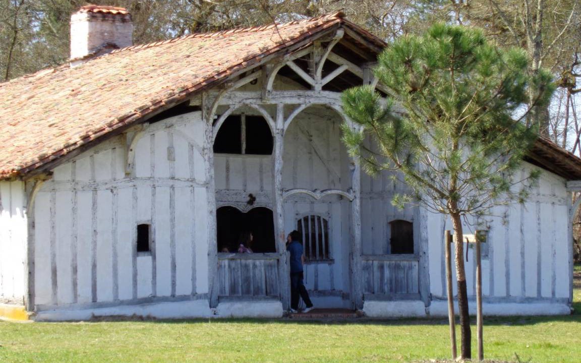 Photo of Others in Luglon