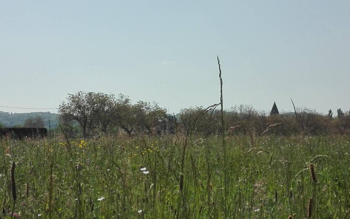 Photo of Others in Calviac-en-Perigord