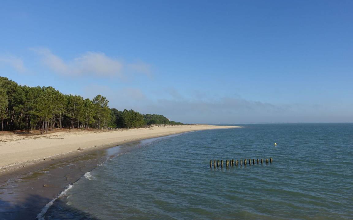 Photo of Others in Saint-Georges-d'Oleron