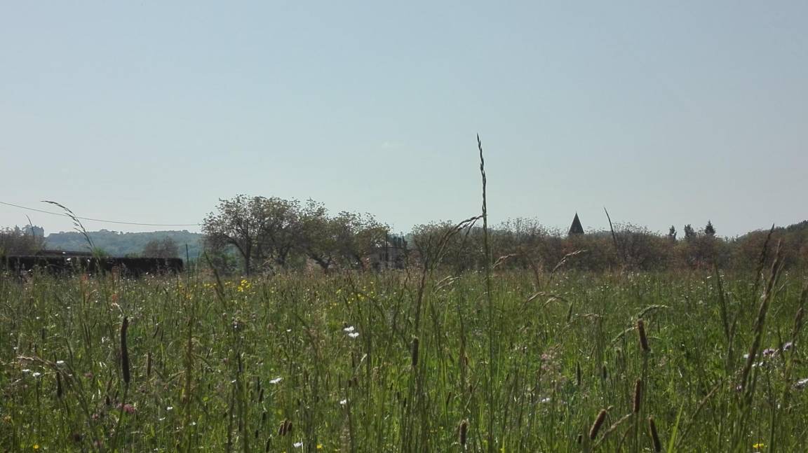 Photo of Others in Calviac-en-Perigord