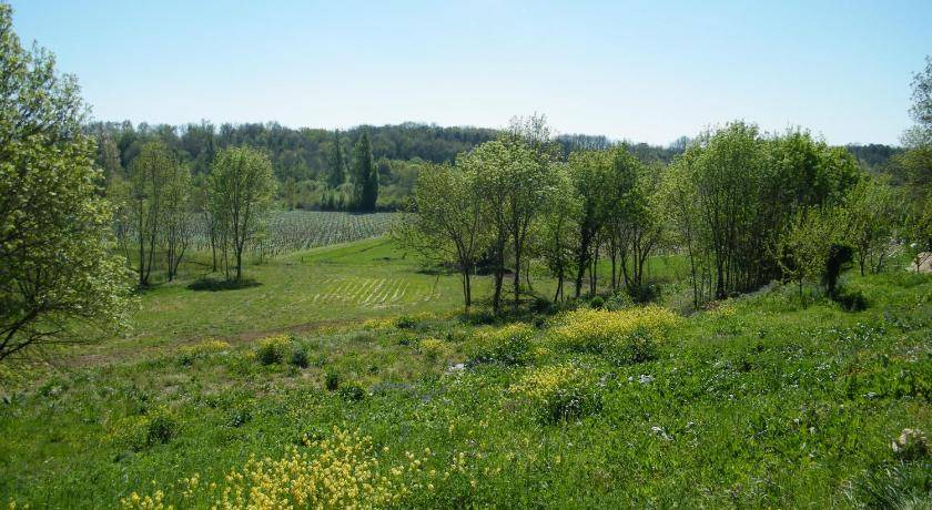 Photo of Others in Puisseguin