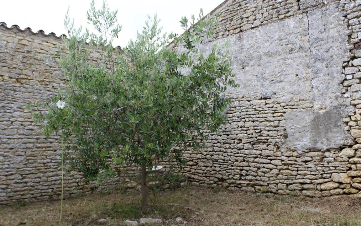 Photo of Others in Cheray
