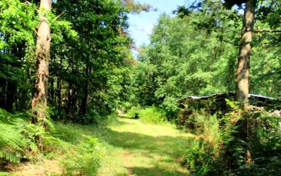 Photo of Outdoor in Chalandray