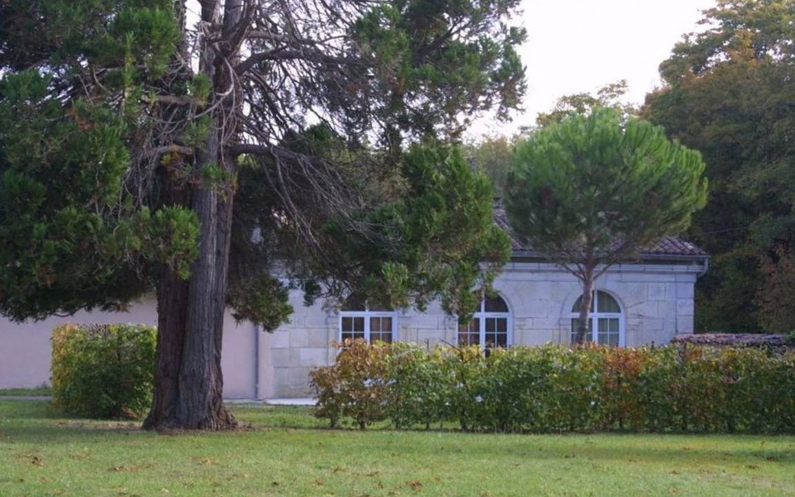 Photo of Others in Cognac