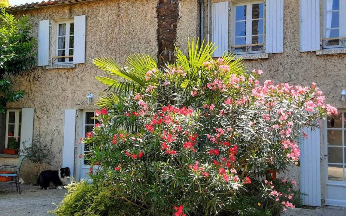 Photo of Others in Chateauneuf-sur-Charente