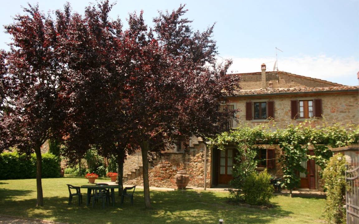Photo of Others in Podere Viti