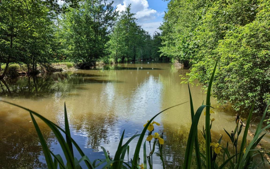 Photo of Others in Guizengeard