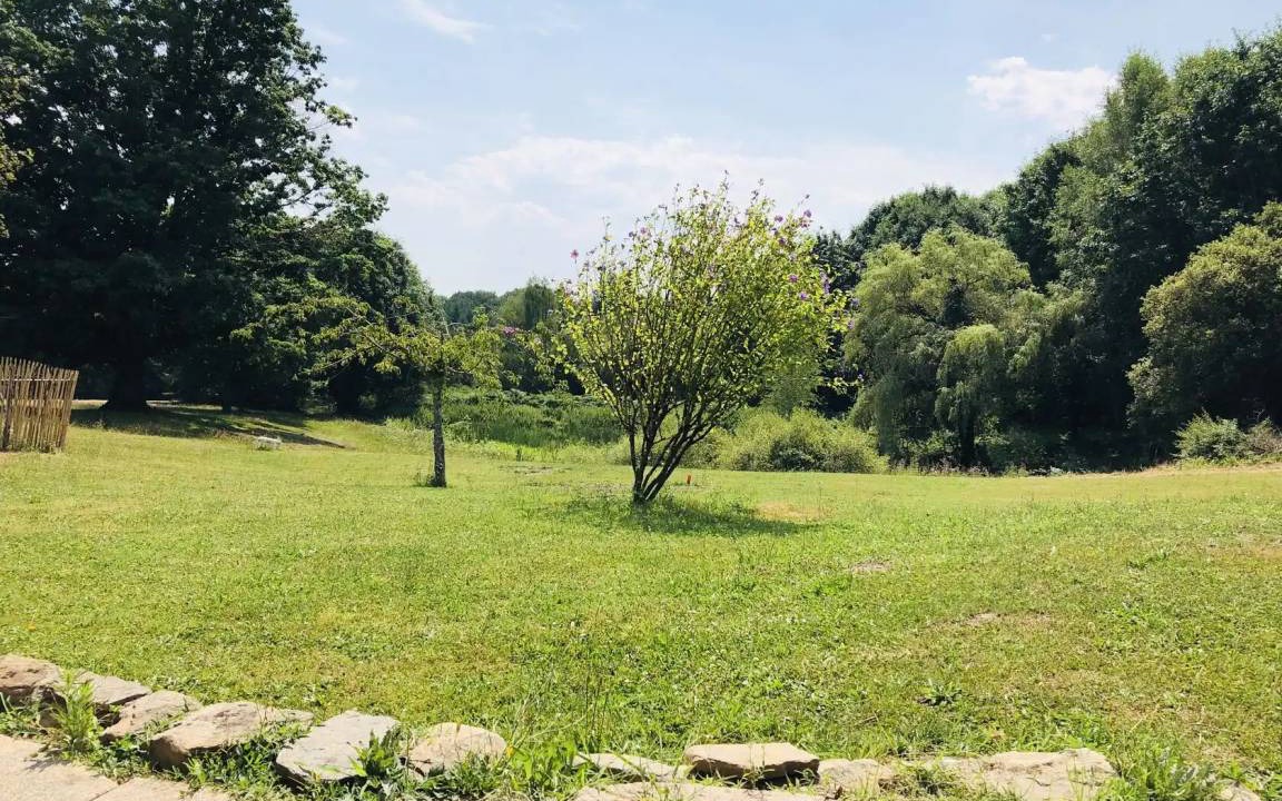 Photo of Others in Chalus
