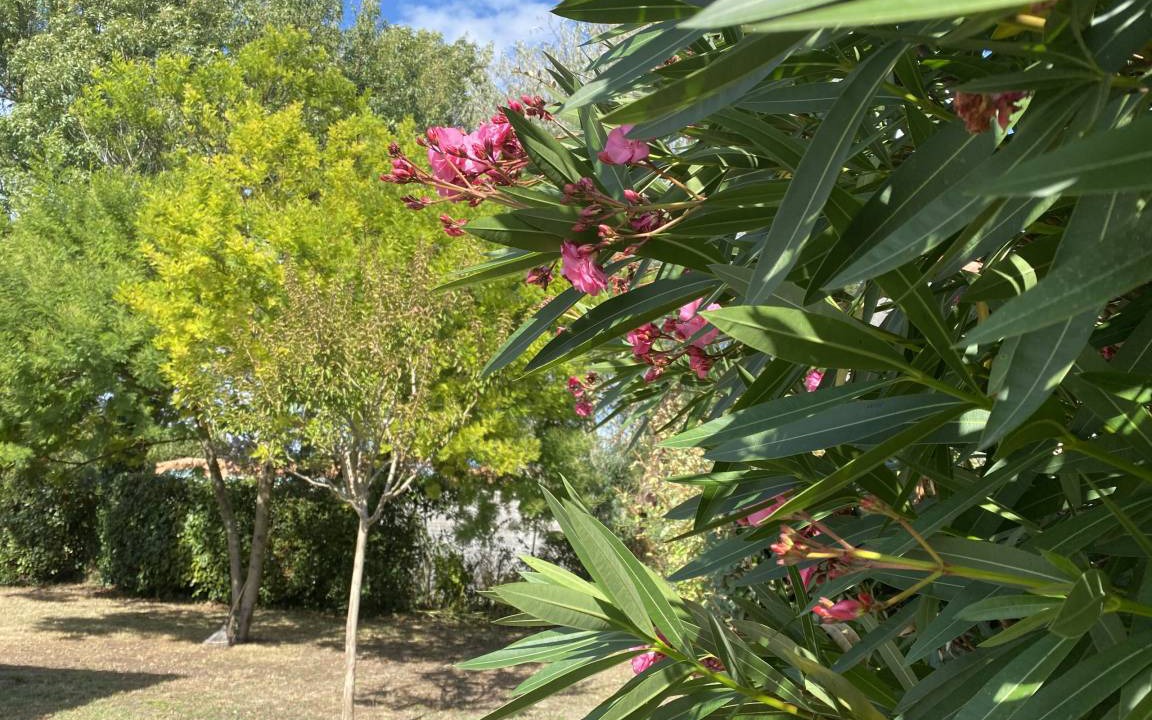 Photo of Outdoor in Le Chateau-d'Oleron