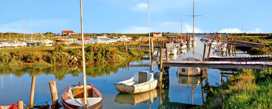 Photo of Others in La Couarde-sur-Mer