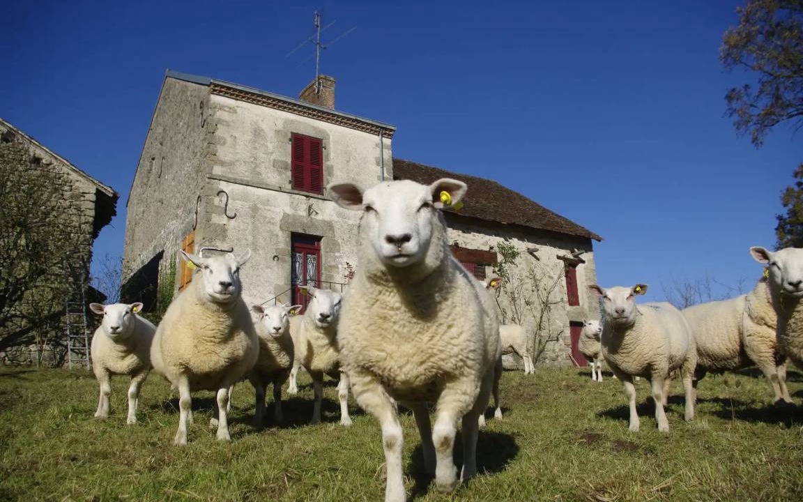 Photo of Others in Dompierre-les-Eglises
