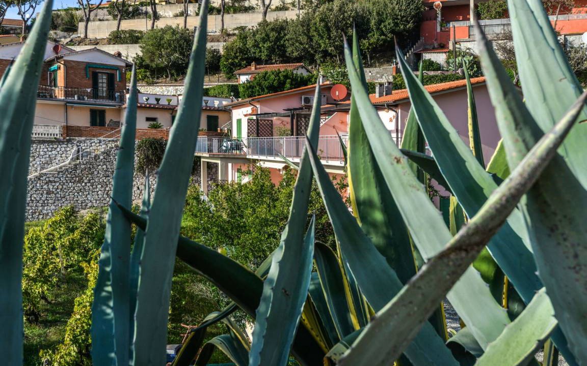 Photo of Others in Capoliveri