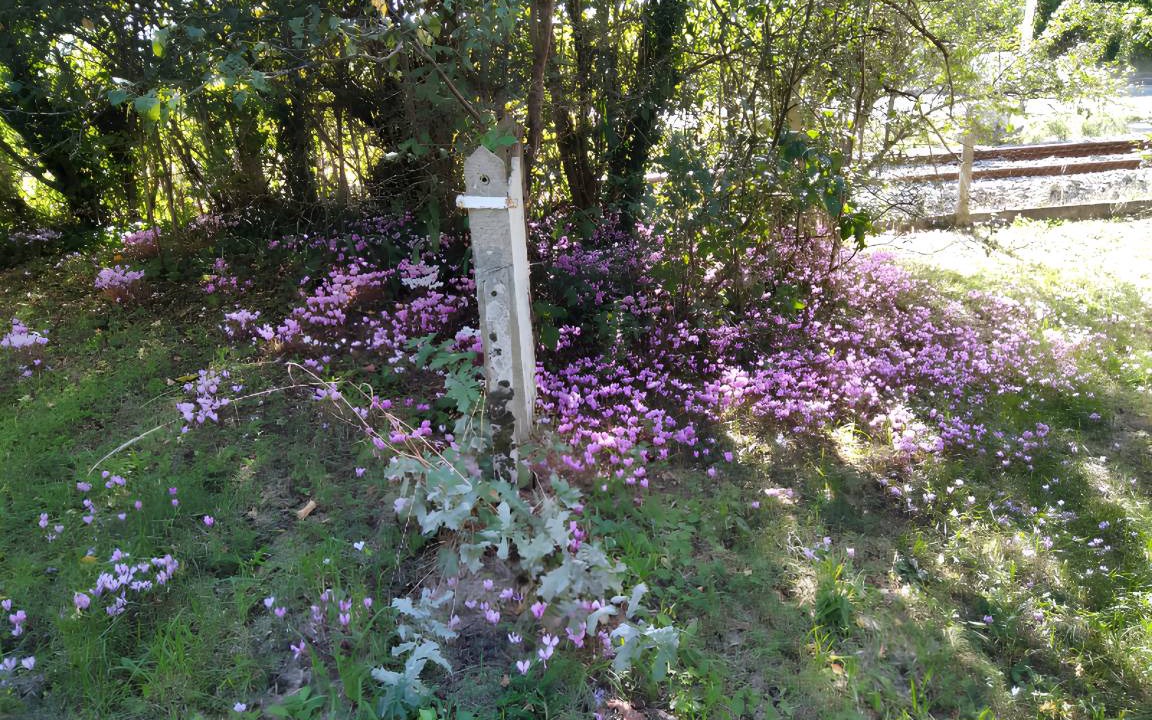 Photo of Others in Lathus-Saint-Remy