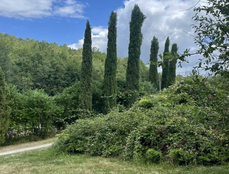 Photo of Others in Lamonzie-Montastruc