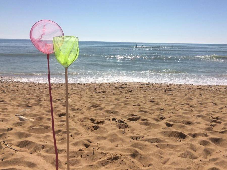 Photo of Others in Saint-Pierre-d'Oleron