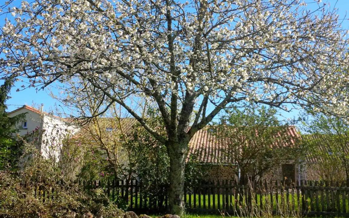 Photo of Others in Nanteuil-en-Vallee