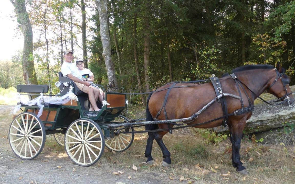 Photo of Others in Saint-Jory-de-Chalais