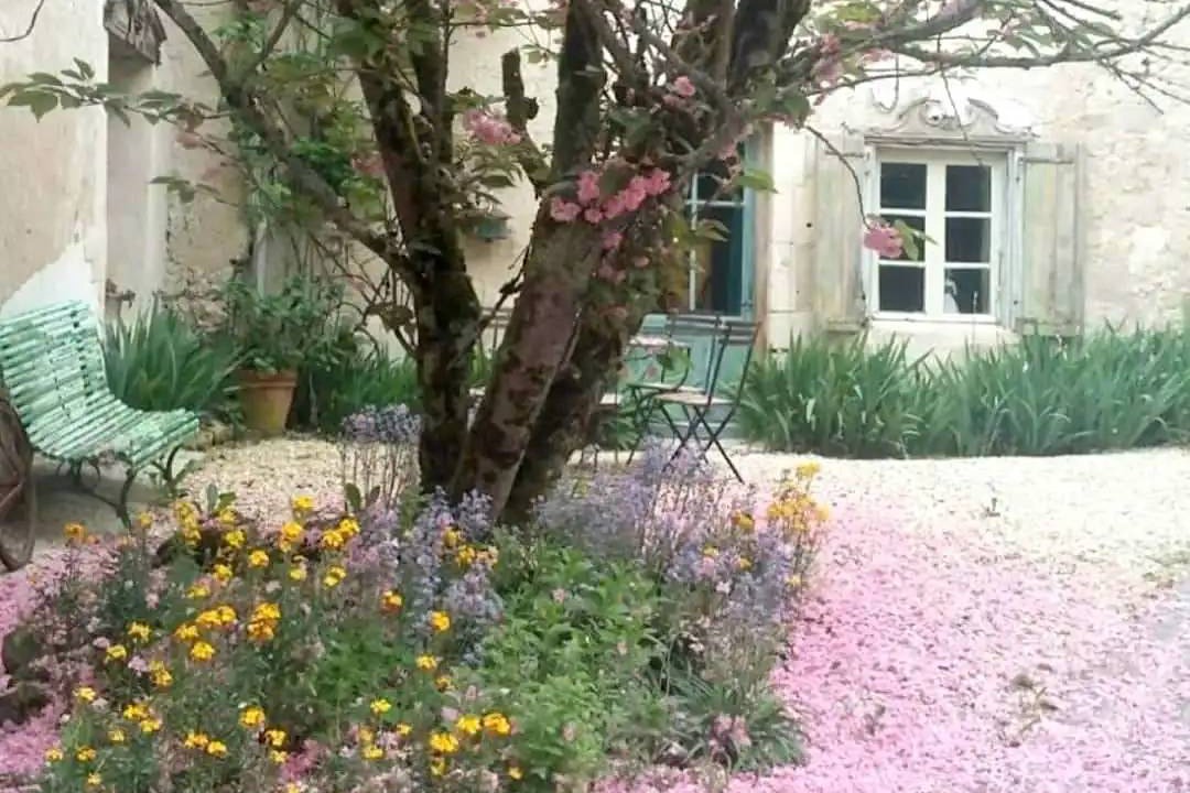 Photo of Others in Sud Charente