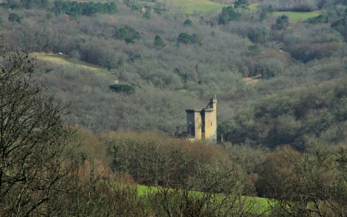 Photo of Others in Les Eyzies