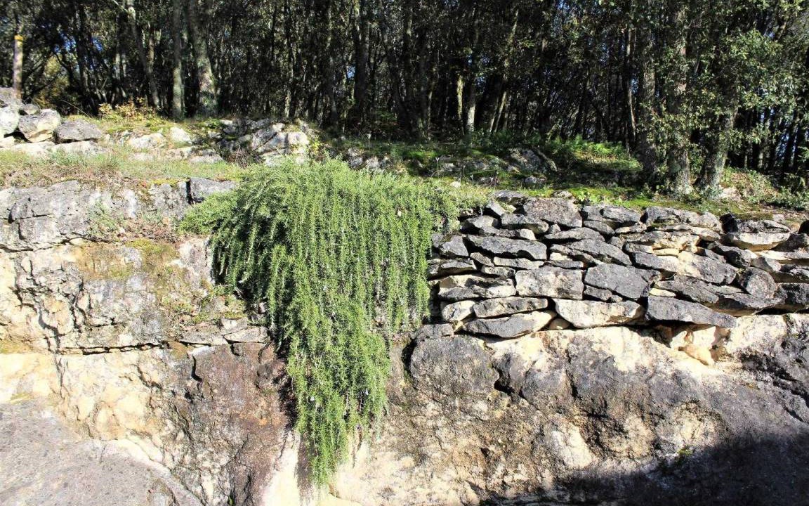 Photo of Others in La Roque-Gageac
