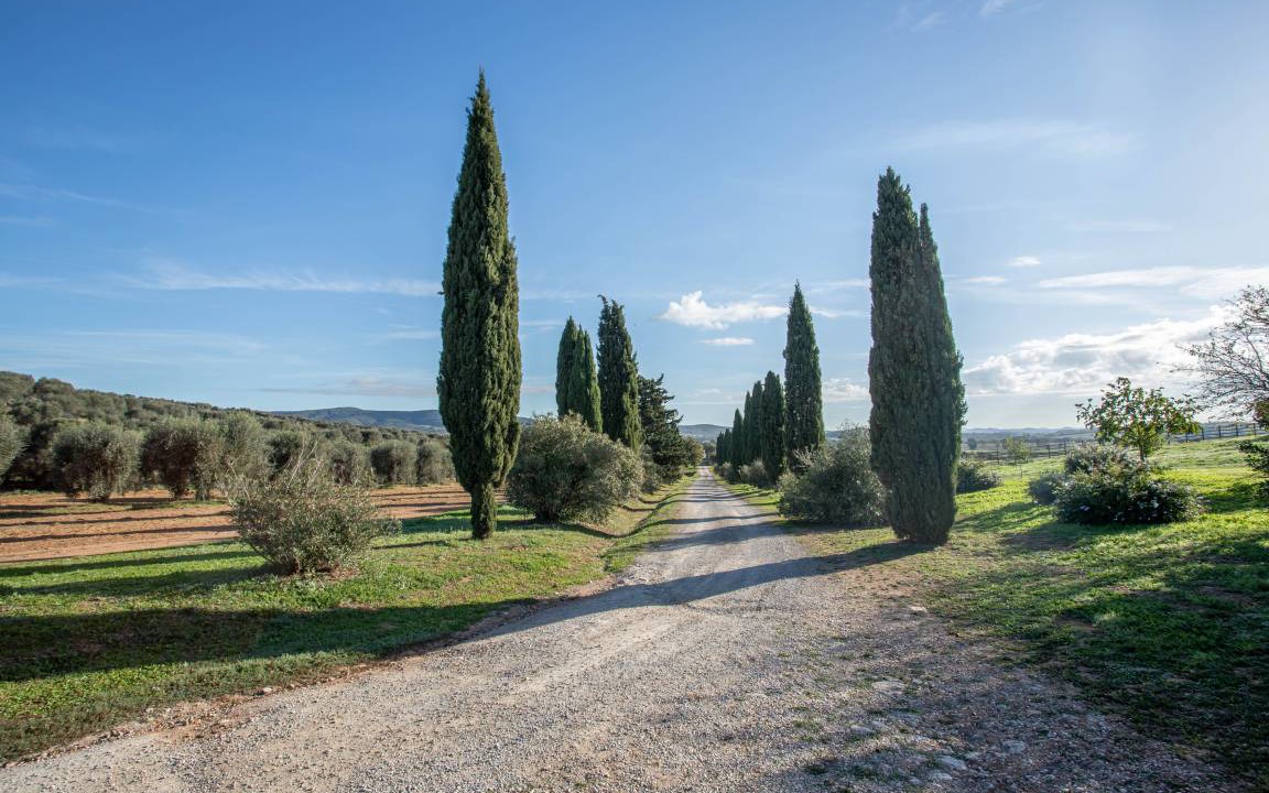 Photo of Others in Orbetello