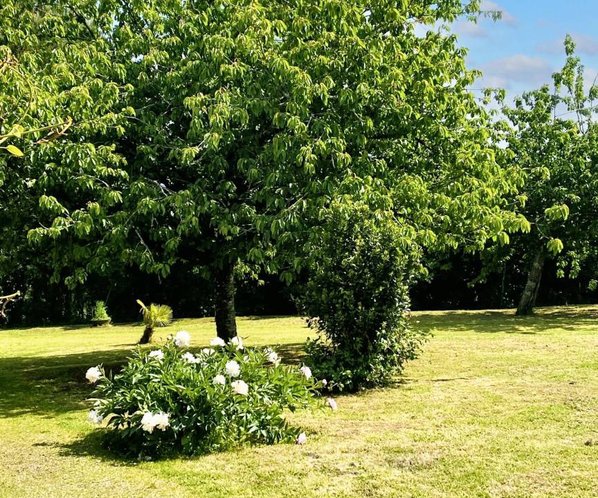 Photo of Others in La Couarde