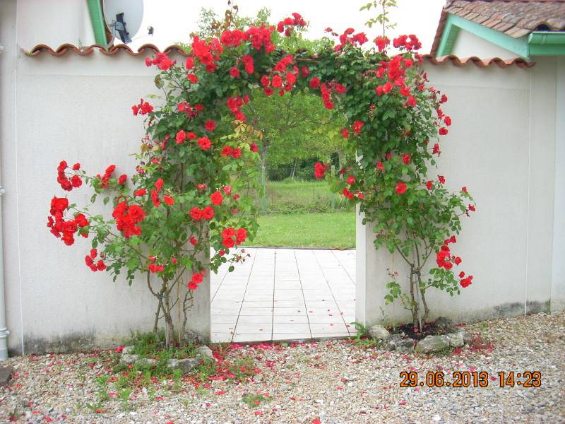 Photo of Others in Saint-Meard-de-Drone