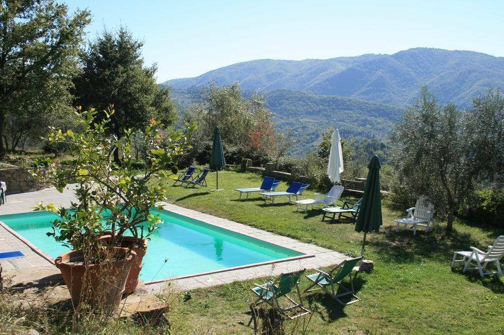 Photo of Others in Greve in Chianti