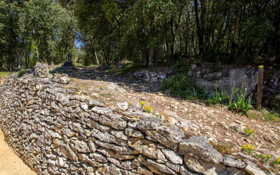 Photo of Others in La Roque-Gageac