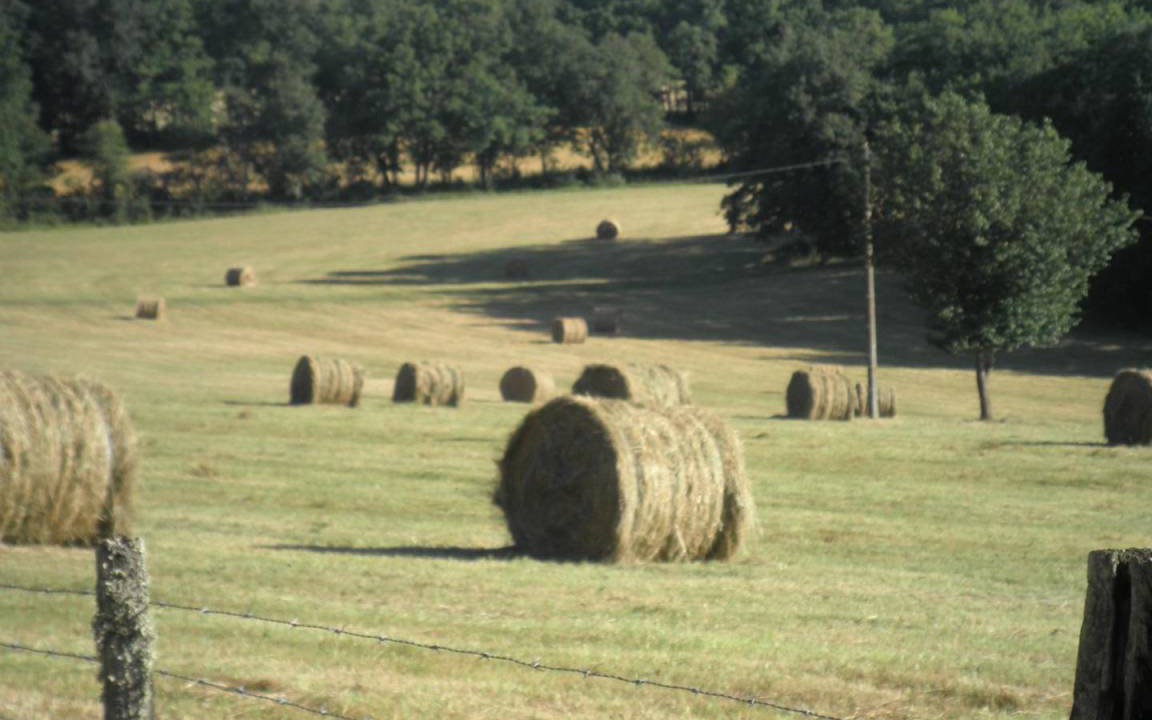 Photo of Others in Saint-Marcel-du-Perigord