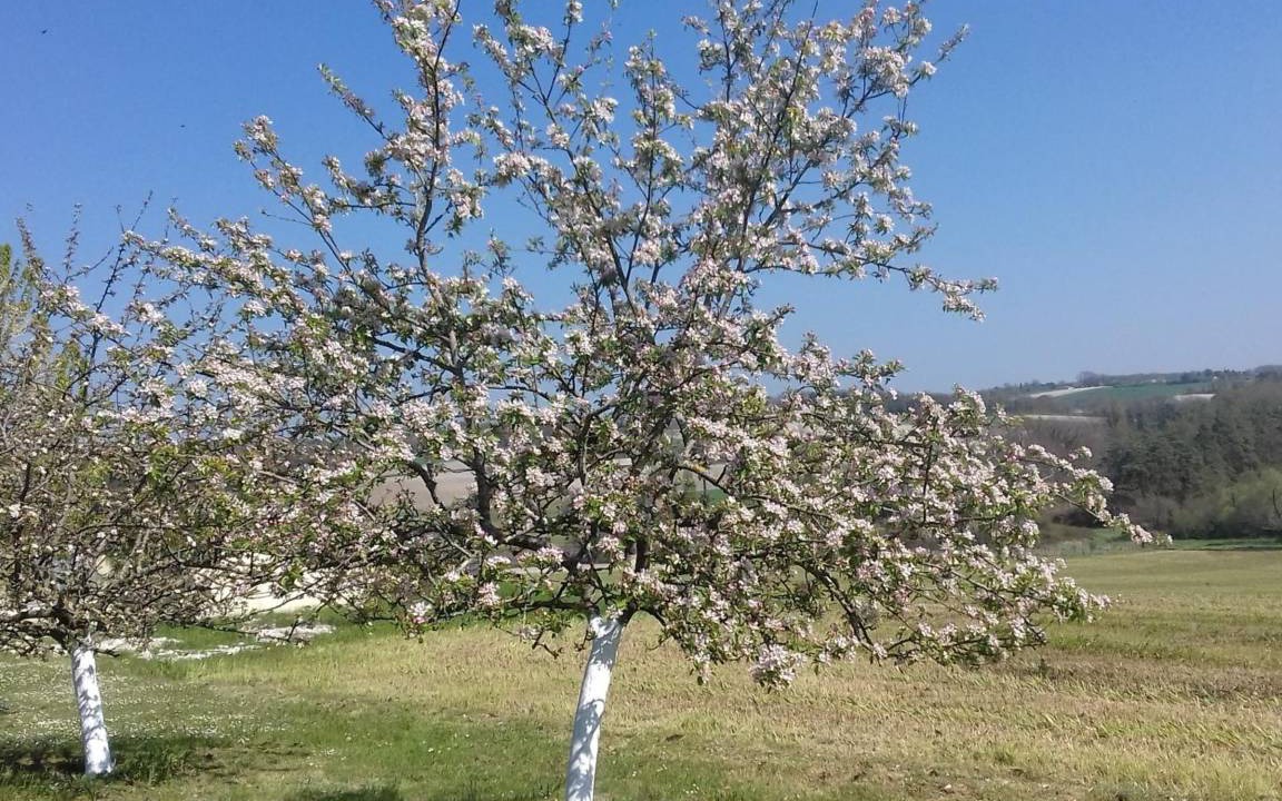 Photo of Others in Tocane-Saint-Apre