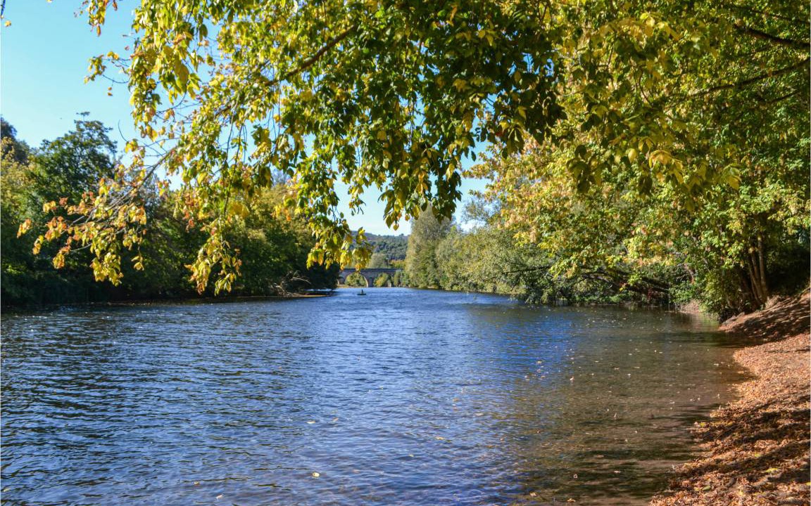 Photo of Others in Saint-Leon-sur-Vezere