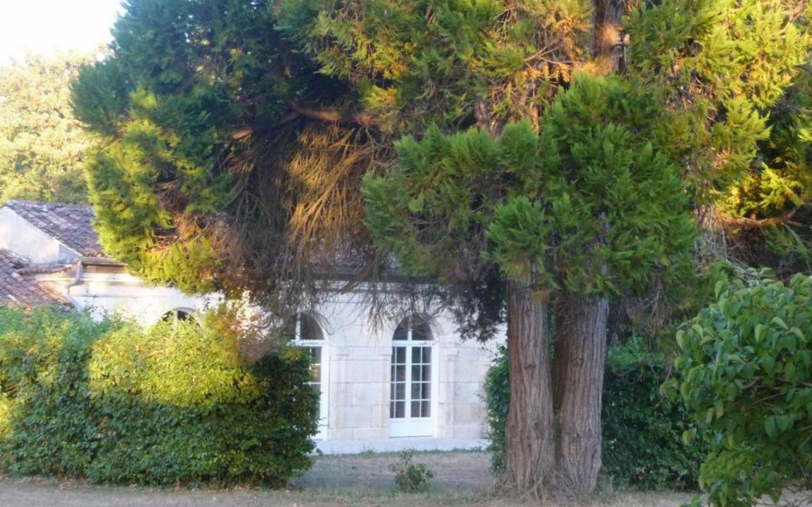 Photo of Others in Cognac