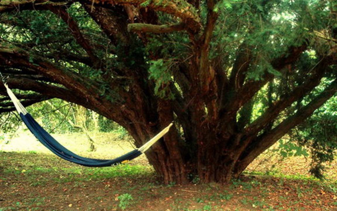 Photo of Others in Cubjac
