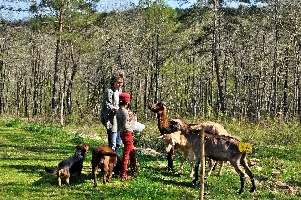 Photo of Others in Sorges-et-Ligueux-en-Perigord