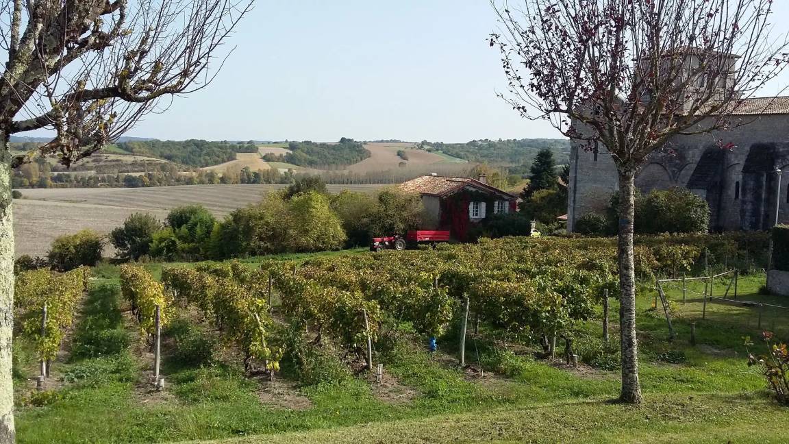 Photo of Others in Sud Charente