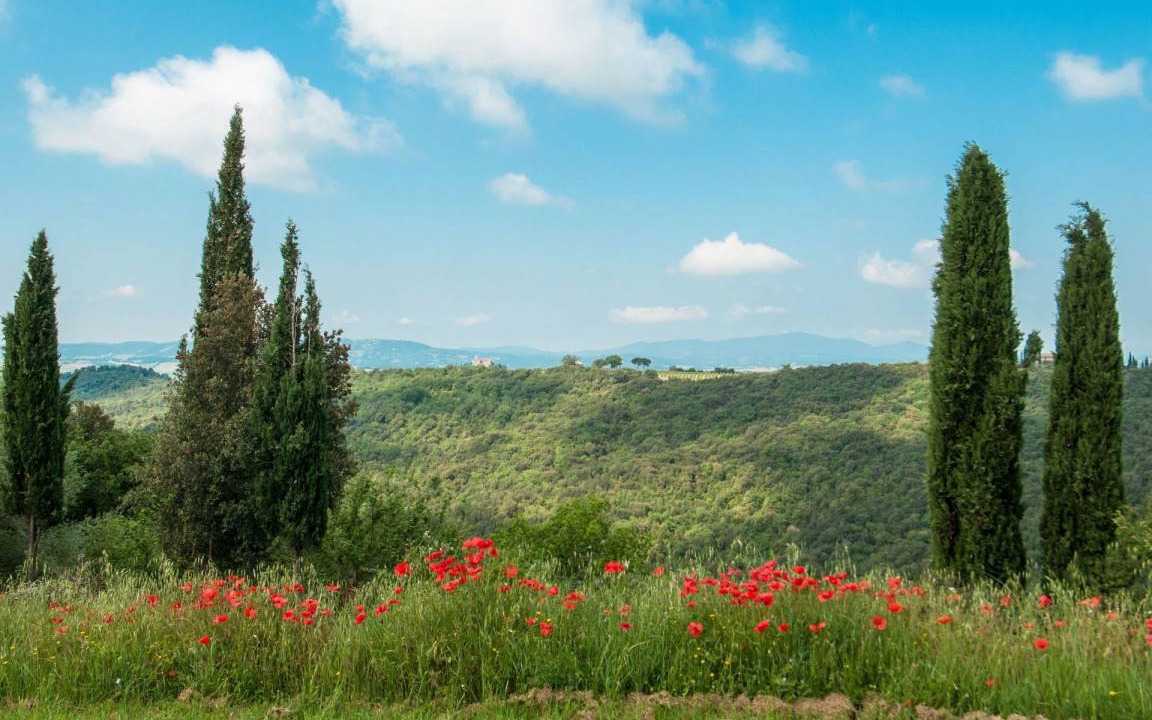 Photo of Others in Montalcino