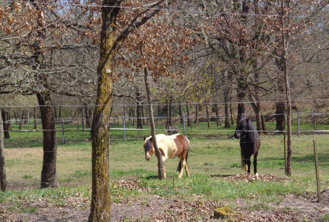 Photo of Others in Vert