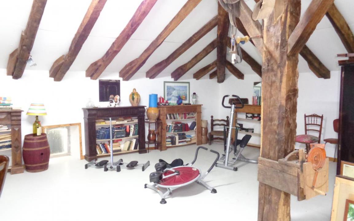 Photo of Others in Mendive