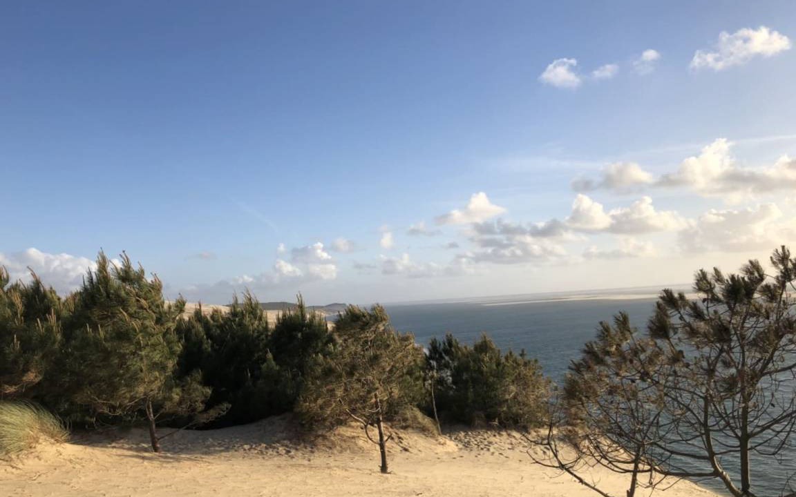 Photo of Others in Pyla-sur-Mer