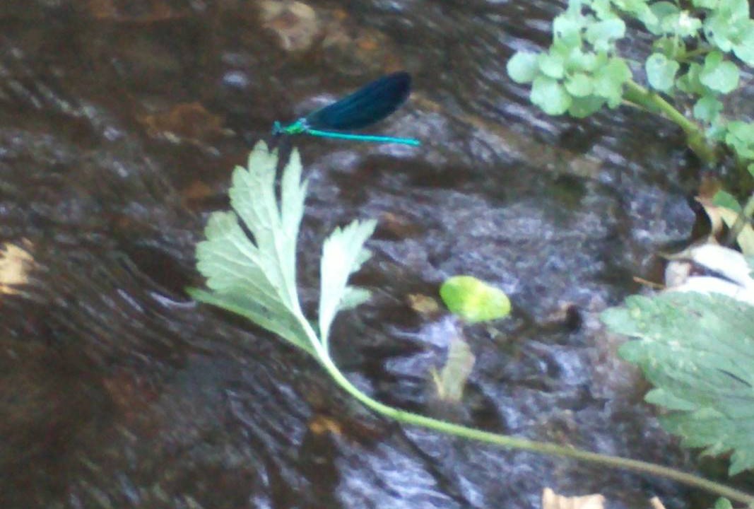Photo of Others in Le Haillan