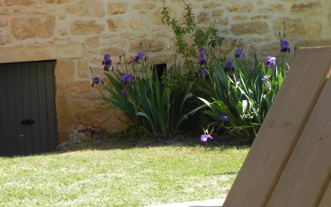 Photo of Others in Calviac-en-Perigord