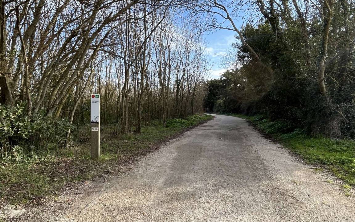 Photo of Others in Saint-Denis-d'Oleron