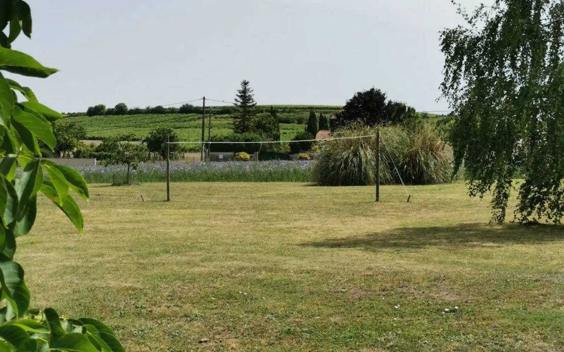 Photo of Others in Segonzac